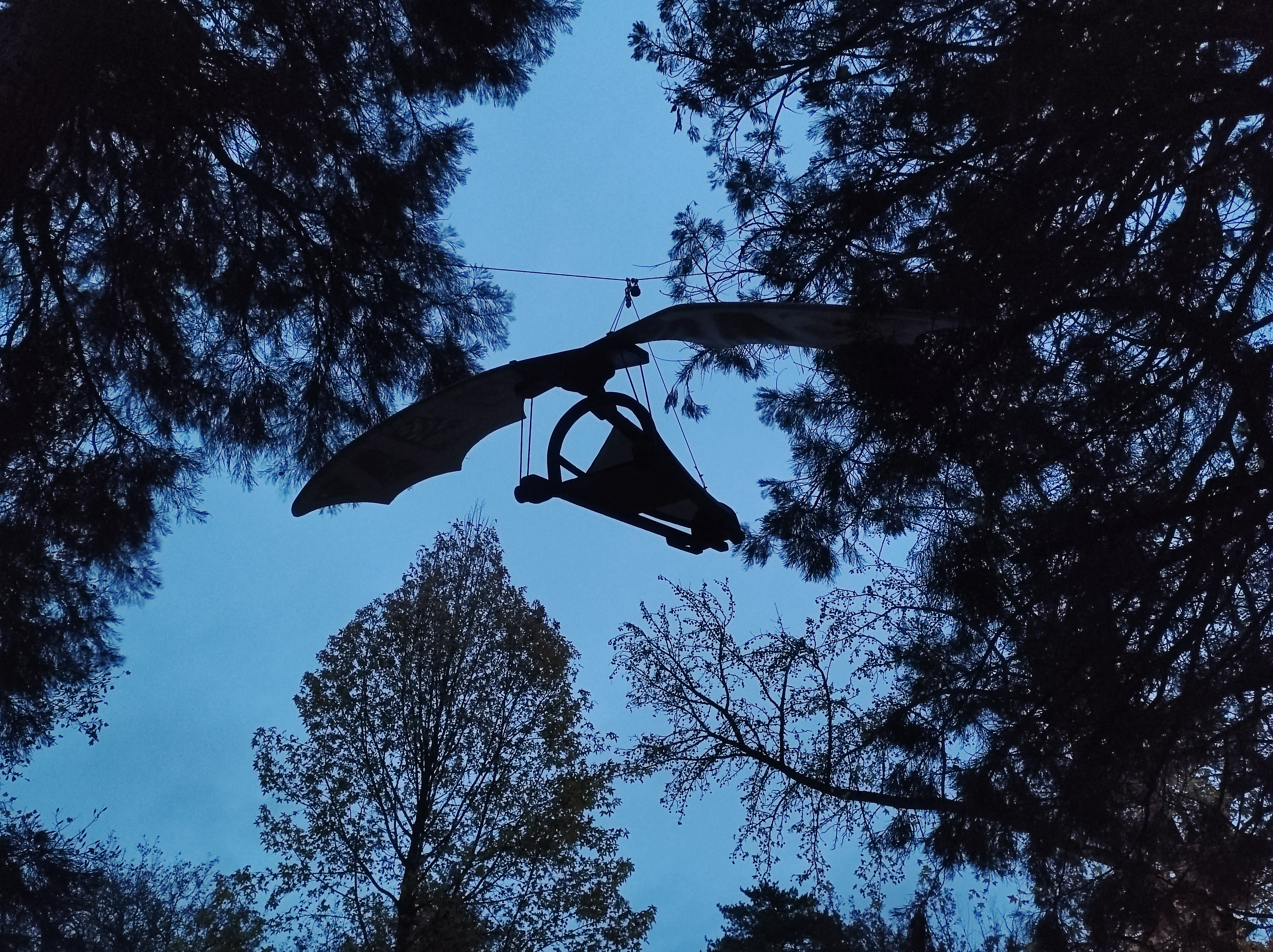 Photo n° 1 de l'avis de Laurence.r fait le 19/11/2023 à 15:02