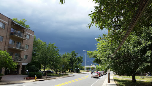 Park «Quincy Park», reviews and photos, 1021 N Quincy St, Arlington, VA 22201, USA