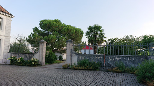site_photo4