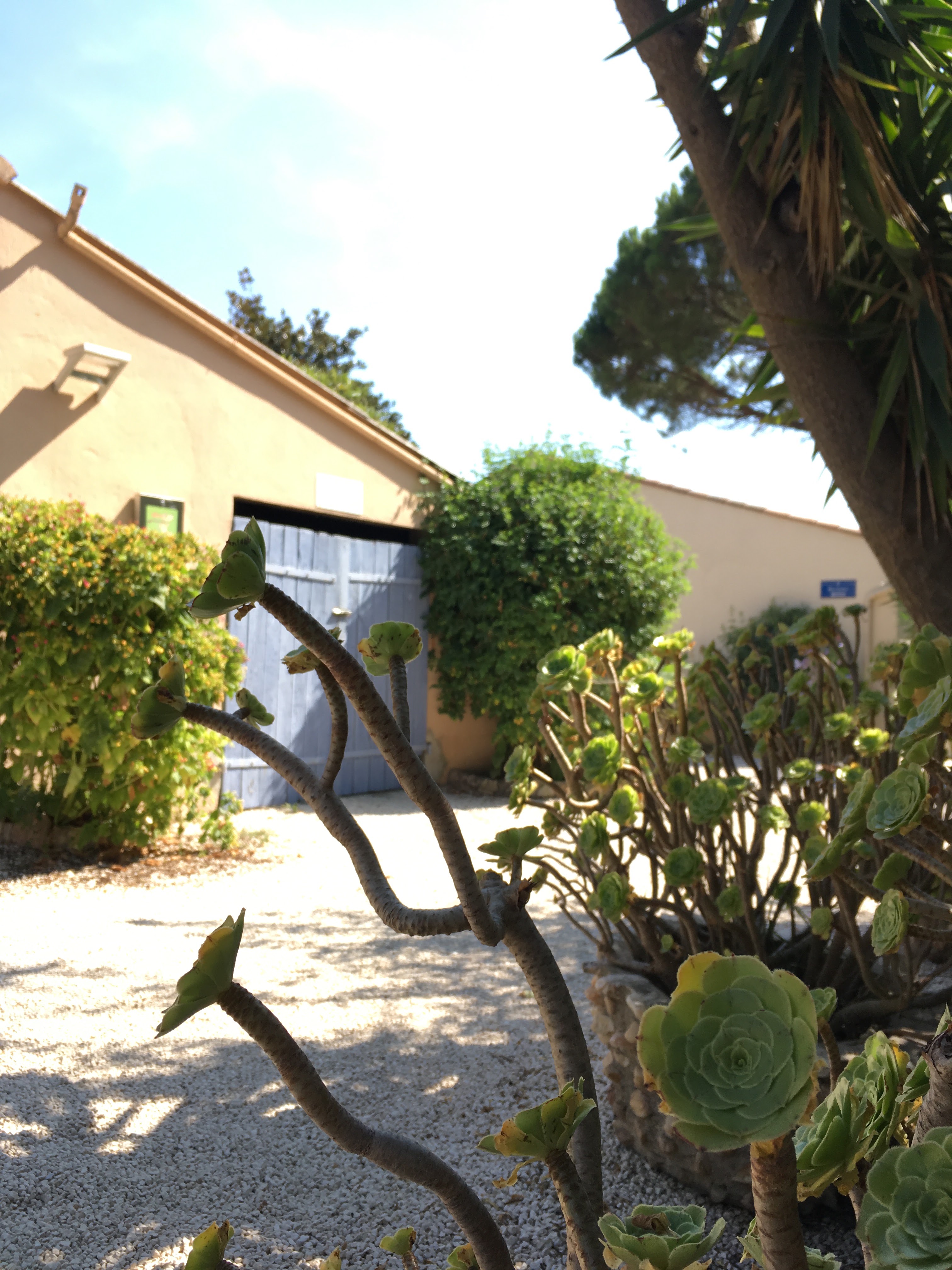 Photo n° 1 de l'avis de Felix.c fait le 06/08/2018 à 18:51
