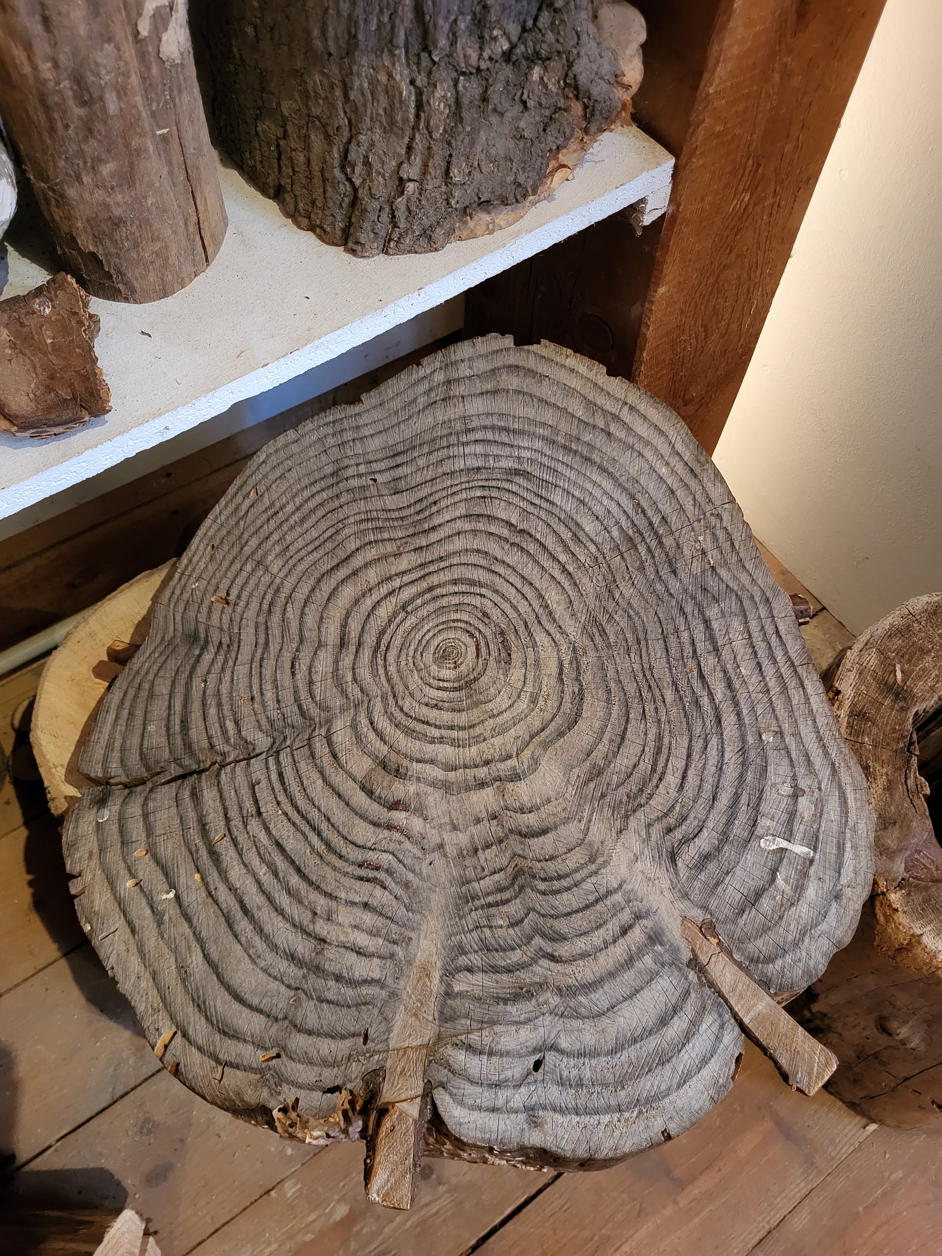 Photo n° 4 de l'avis de isabelle.L fait le 02/09/2022 à 20:26