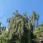 Photo n° 49 de l'avis de Pierre.e fait le 22/05/2023 à 18:27 pour Manoir de Saussey à Saussey