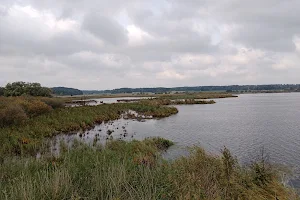 Fysingens naturreservat image