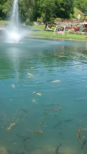 Resort «Smoke Hole Caverns», reviews and photos, 8290 N Fork Hwy, Cabins, WV 26855, USA