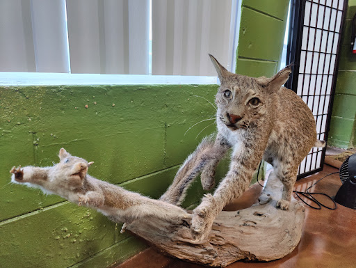 Tattoo Shop «Trinity Tattoo Co Inc», reviews and photos, 193 N US Highway 17-92, Longwood, FL 32750, USA