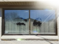 Saving Face Esthetics - Photo 9 - Car repair in Plymouth, MI, South Lyon