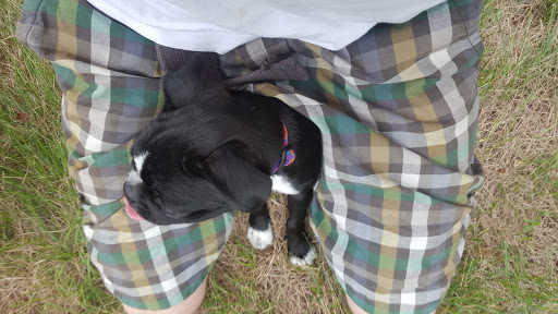 National Reserve «Assabet River National Wildlife Refuge», reviews and photos, 680 Hudson Road, Sudbury, MA 01776, USA