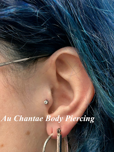 Explore chest and sleeve tattoo ideas, creative tattoo ideas in Murfreesboro, available at Au Chantae Body Piercing