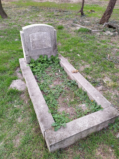 Régi temető (elhagyott)