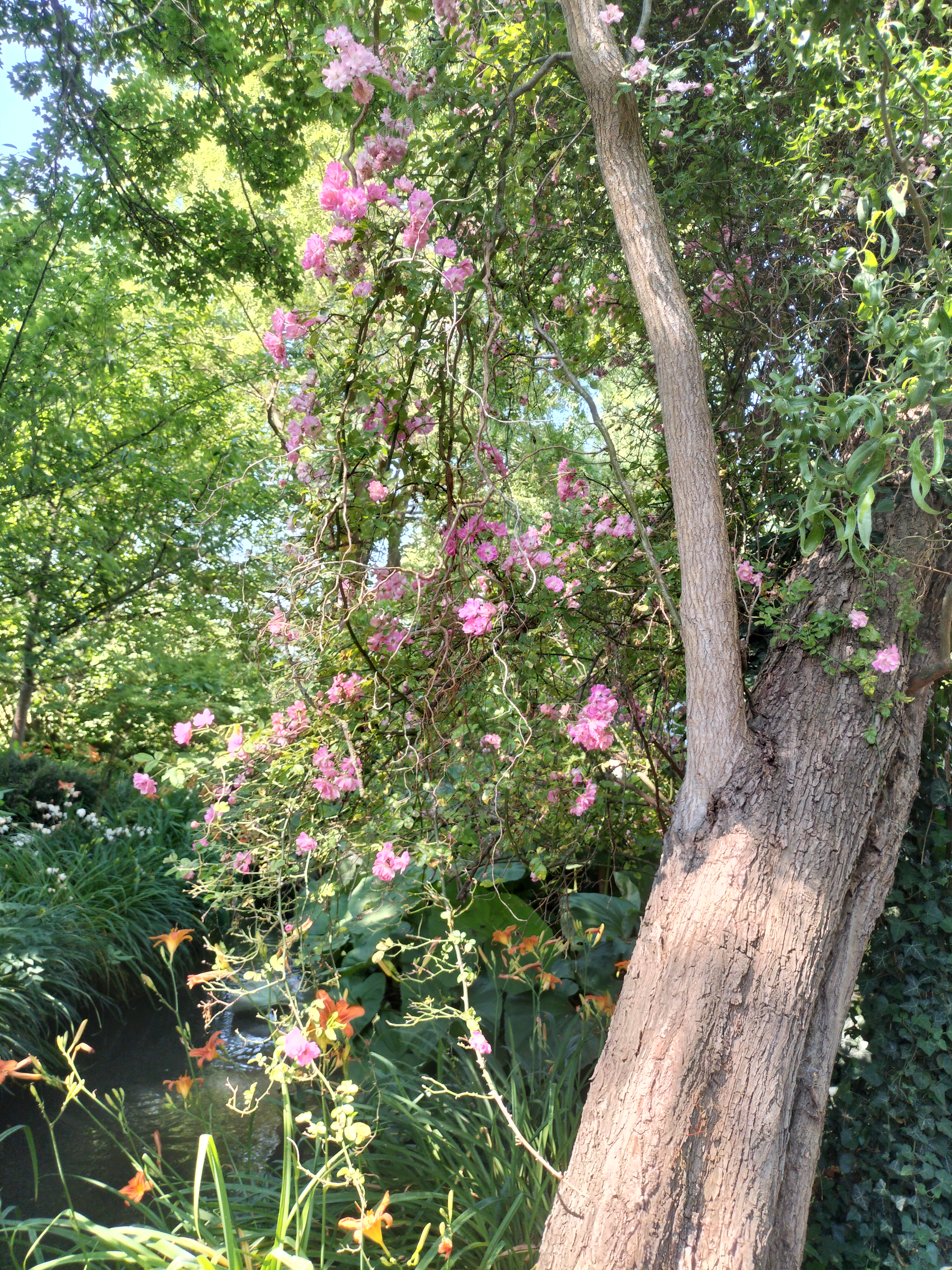 Photo n° 45 de l'avis de didier.e fait le 15/06/2023 à 13:38