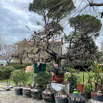 Photo n°9 de l'avis de Arianna.e fait le 15/03/2024 à 10:29 sur le  Da Rinaldi à Rimini