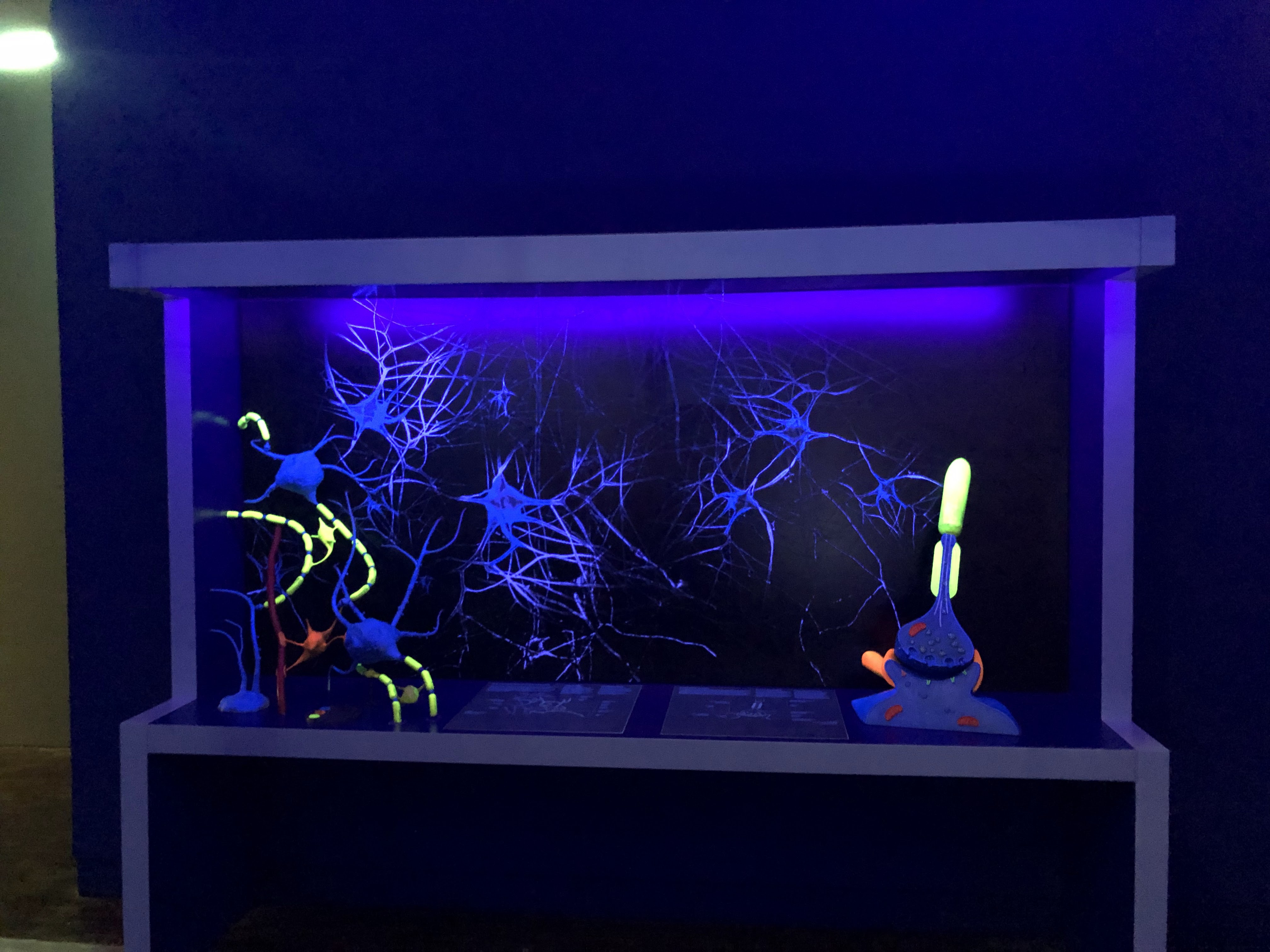 Photo n° 5 de l'avis de Johnny.a fait le 01/12/2019 à 19:06