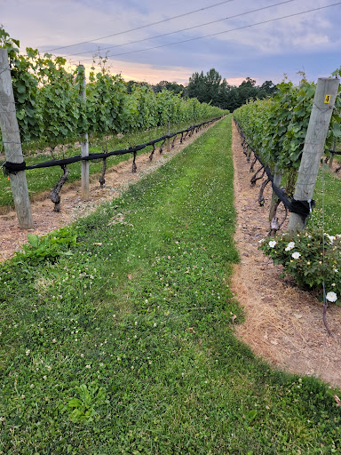 Winery «Beneduce Vineyards», reviews and photos, 1 Jeremiah Ln, Pittstown, NJ 08867, USA