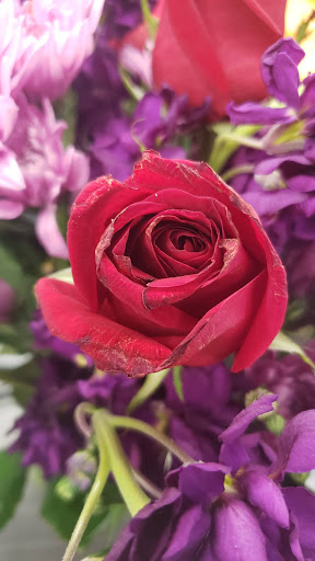 Florist «Yosvi Flowers», reviews and photos, 2835 NW 7th St, Miami, FL 33125, USA