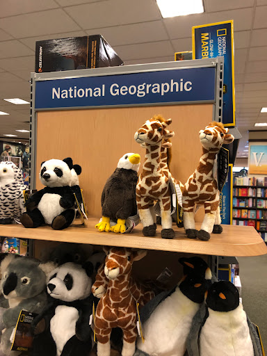 Book Store «Barnes & Noble», reviews and photos, 3454 Erie Blvd E, Syracuse, NY 13214, USA