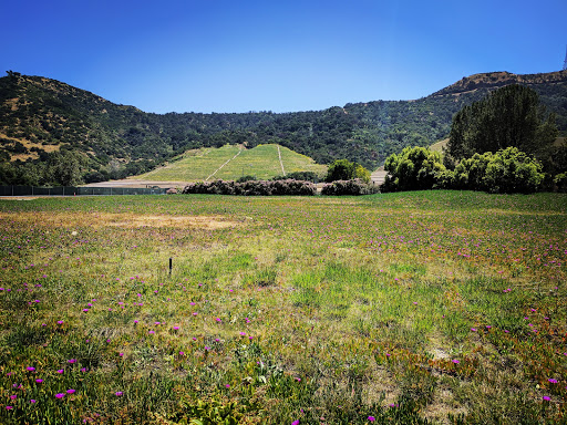 Memorial Park «Forest Lawn - Hollywood Hills», reviews and photos, 6300 Forest Lawn Dr, Los Angeles, CA 90068, USA