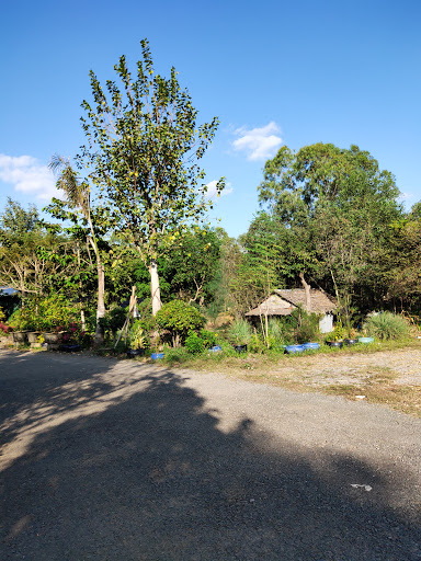 Top 20 cửa hàng kẹo ngọt Huyện Tháp Mười Đồng Tháp 2022