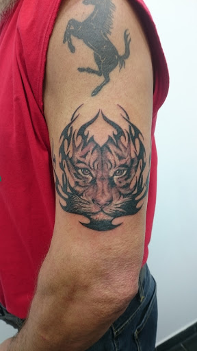 Black Dragon Tattoo und Piercing Hannover