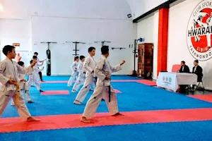 CS Hwarang Sibiu Taekwondo image