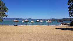 Foto di Spiaggia dell Isola Polvese con molto pulita livello di pulizia
