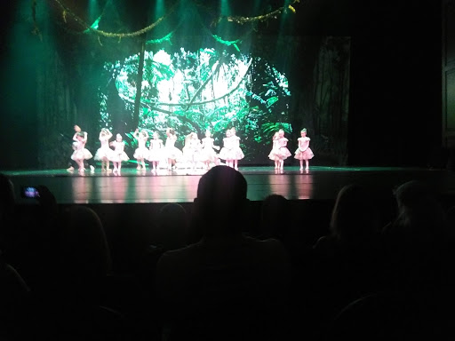 Performing Arts Theater «The Franklin Performing Arts Center», reviews and photos, 2600 Cumberland Dr, Franklin, IN 46131, USA