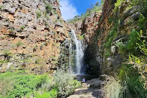 Morialta Falls image