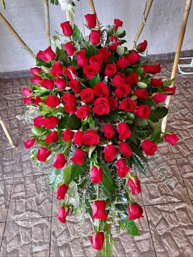 Florería Tulipanes