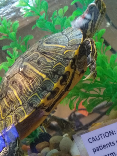 Pet Store «Pet Land», reviews and photos, 1450 Fort Campbell Blvd, Clarksville, TN 37042, USA