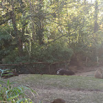 Photo n° 32 de l'avis de Famille.o fait le 13/11/2022 à 15:28 pour Zoo de La Flèche à La Flèche