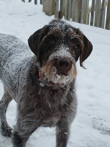 Auto Insurance Agency «Larry Thein - State Farm Insurance Agent», reviews and photos