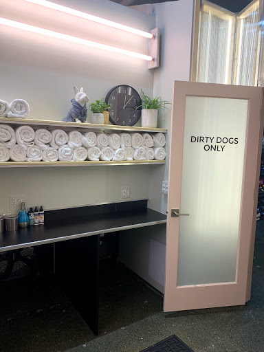 Pet Store «City Bark», reviews and photos, 1222 Griswold St, Detroit, MI 48226, USA