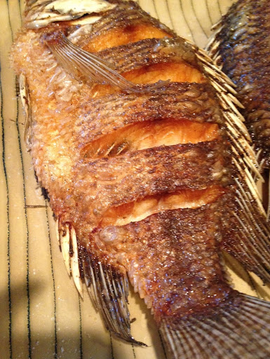 Restaurant «RHINO LOUNGE», reviews and photos, 11 Cooper St, Waltham, MA 02453, USA