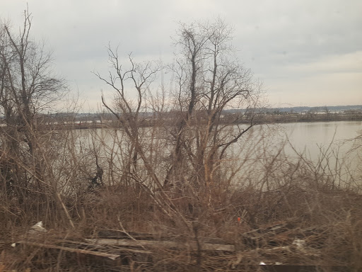 Park «Long Bridge Park», reviews and photos, 475 Long Bridge Drive, Arlington, VA 22202, USA