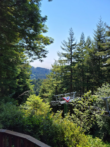 Tourist Attraction «Trees of Mystery», reviews and photos, 15500 US-101, Klamath, CA 95548, USA