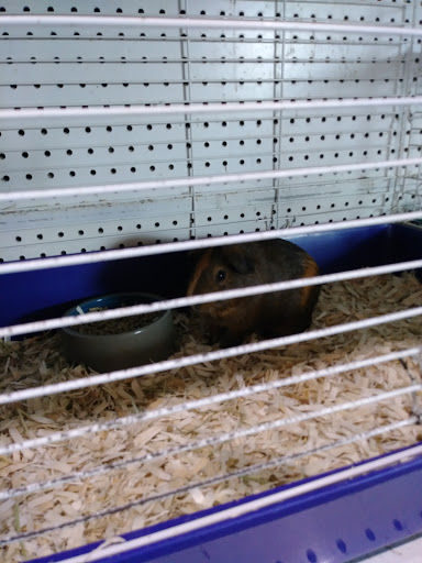 Pet Store «Pet Cove», reviews and photos, 820 E Center St, Kingsport, TN 37660, USA