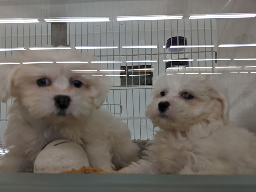 Market «Mediterranean Market», reviews and photos, 612 E Roosevelt Rd, Lombard, IL 60148, USA