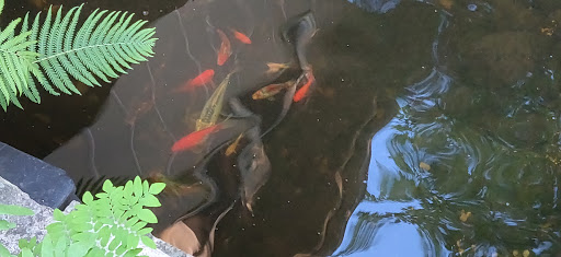 Pet Supply Store «PetSmart», reviews and photos, 9277 159th St, Orland Hills, IL 60487, USA