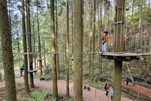 Forest Adventure Itoshima image