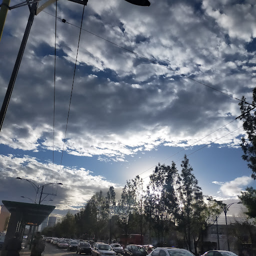 TLATELOLCO MEMORIAL S.A DE C.V en Cuauhtémoc, Buenavista