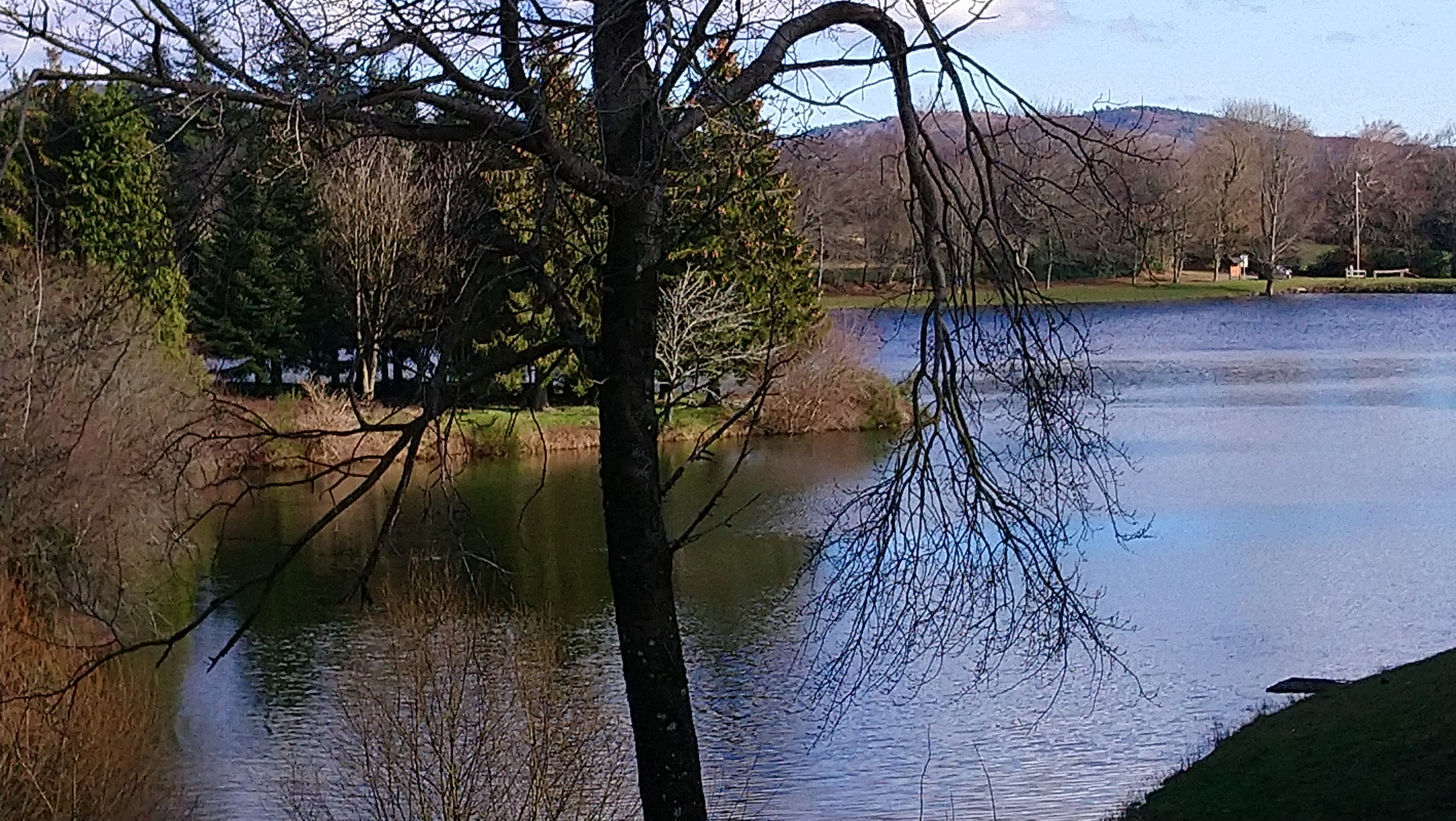 Photo n° 1 de l'avis de Francis.o fait le 08/02/2021 à 16:54