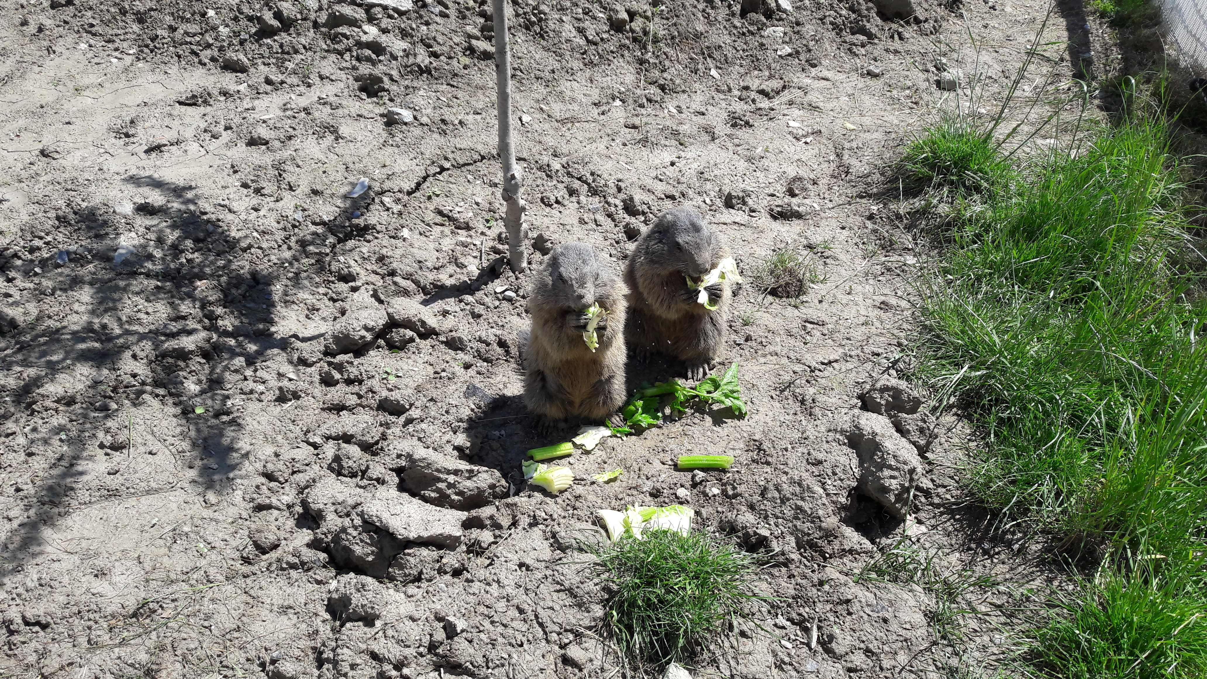 Photo n° 2 de l'avis de Noelie.a fait le 02/06/2018 à 21:46