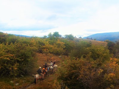 Photos of Backcountry Saddle Expeditions Ltd