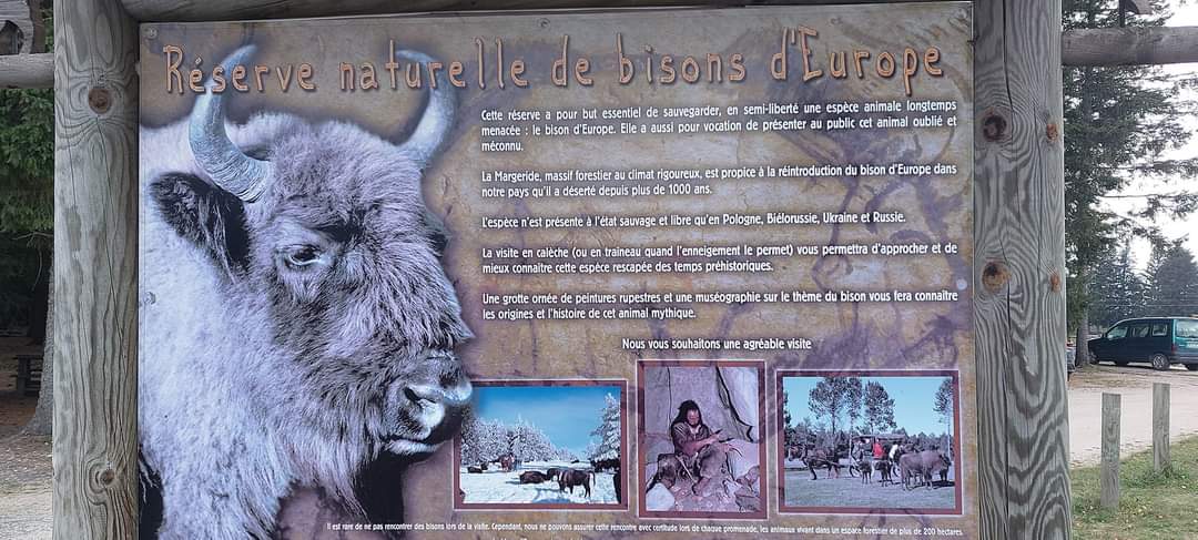 Photo n° 1 de l'avis de Thierry.L fait le 04/11/2022 à 12:54