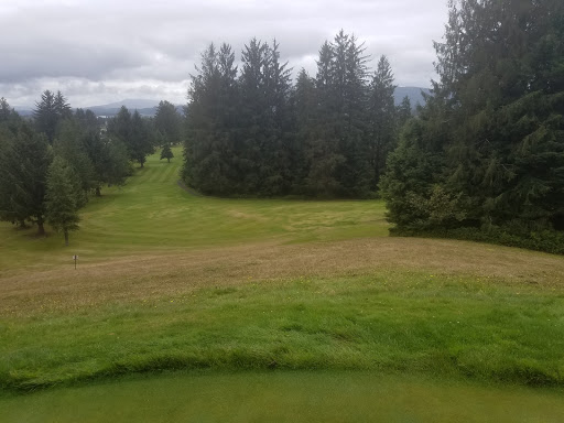 Golf Course «Alderbrook Golf Course», reviews and photos, 7300 Alderbrook Rd, Tillamook, OR 97141, USA