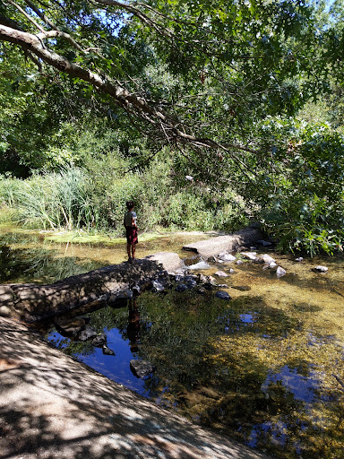 Park «Mansfield Park», reviews and photos, 85 Walker St, Massapequa Park, NY 11762, USA