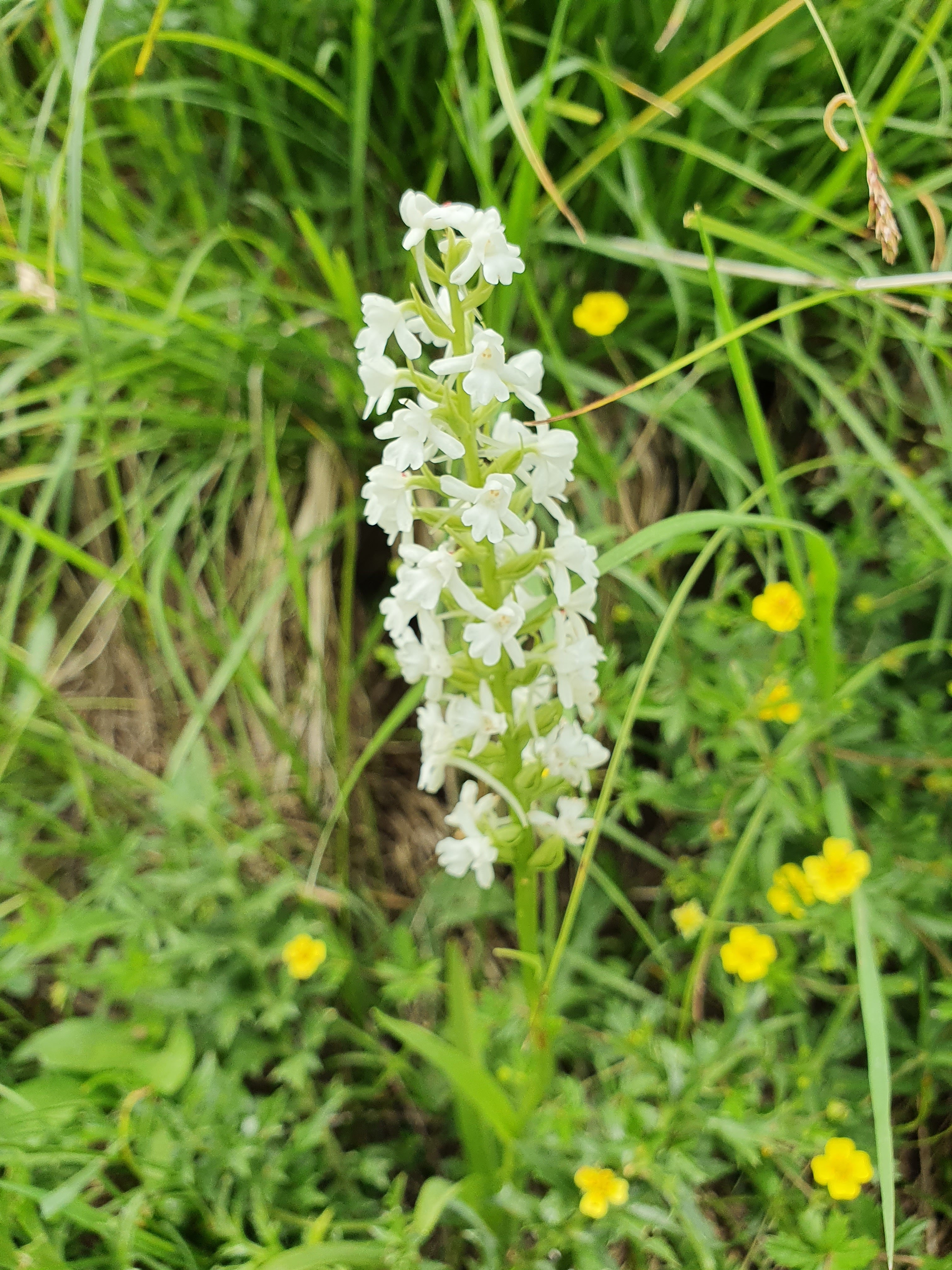 Photo n° 7 de l'avis de Jean-François.a fait le 08/08/2021 à 14:17