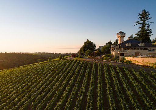 Willamette Valley Vineyards