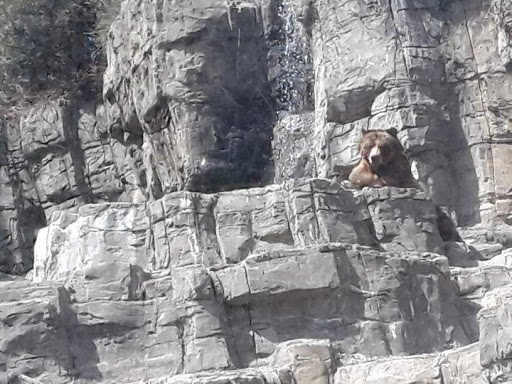 Zoo «Bronx Zoo», reviews and photos, 2300 Southern Blvd, Bronx, NY 10460, USA