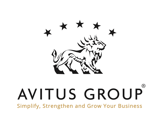 Avitus Technology Services