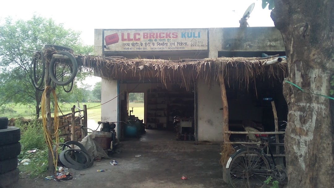 LLC Bricks & Pvt.Ltd.